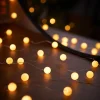 WeRChristmas 80 Pastel Warm White Micro LED Berry Lights, 2.4 M