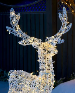 WeRChristmas 3D Acrylic Reindeer Decoration, 122 Cm