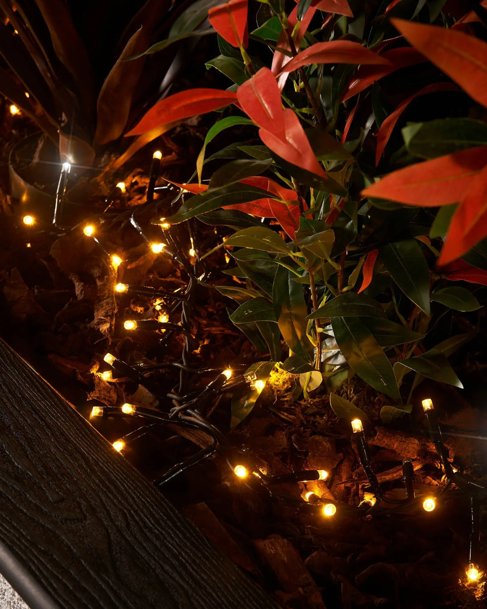 WeRChristmas LINK PRO LED Cluster Lights, Black Cable, Warm White / White