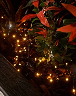 WeRChristmas LINK PRO LED Cluster Lights, Black Cable, Warm White / White