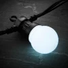 WeRChristmas LINK PRO LED Festoon Lights, Black Cable, White
