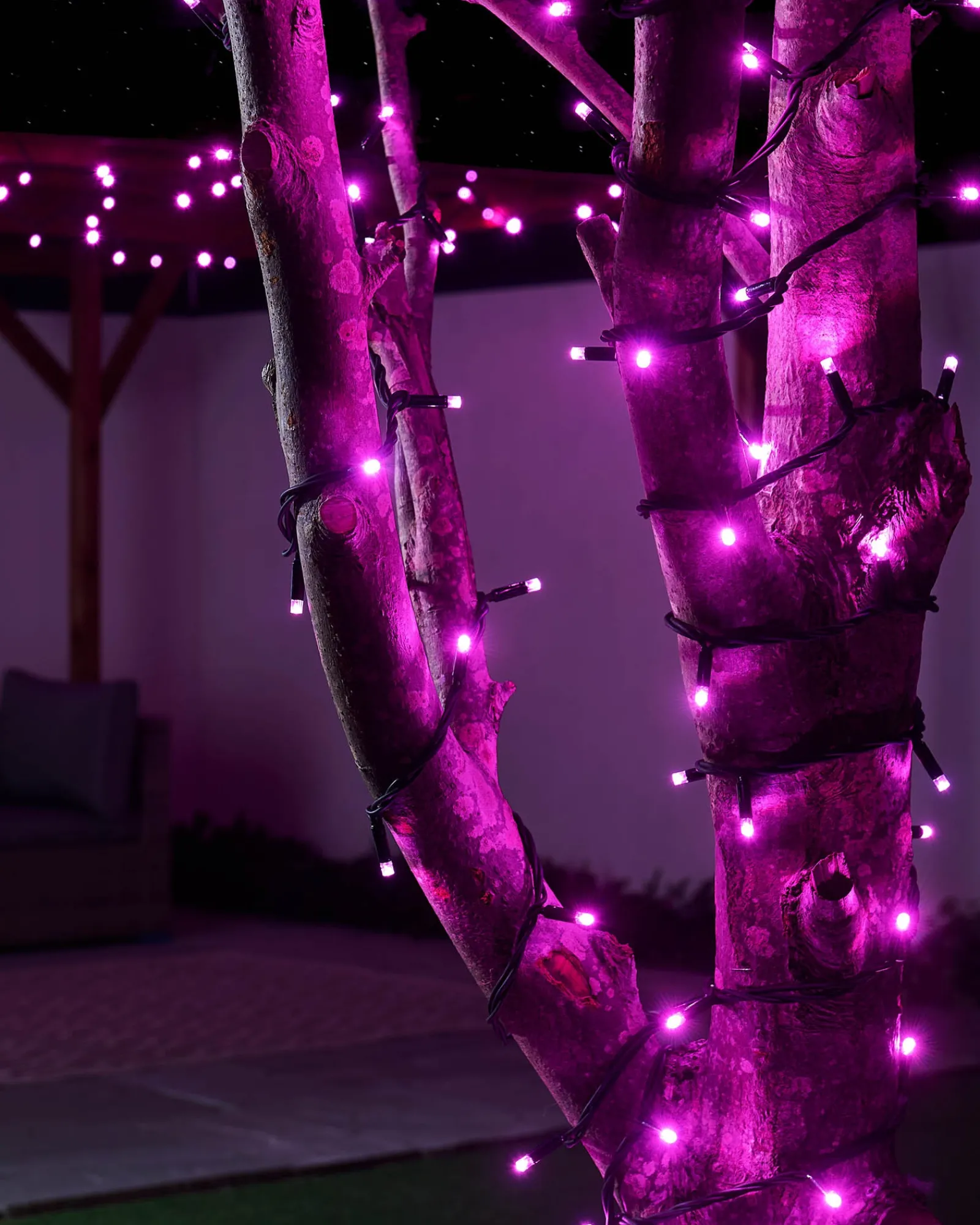 WeRChristmas LINK PRO LED String Lights, Black Cable, Pink