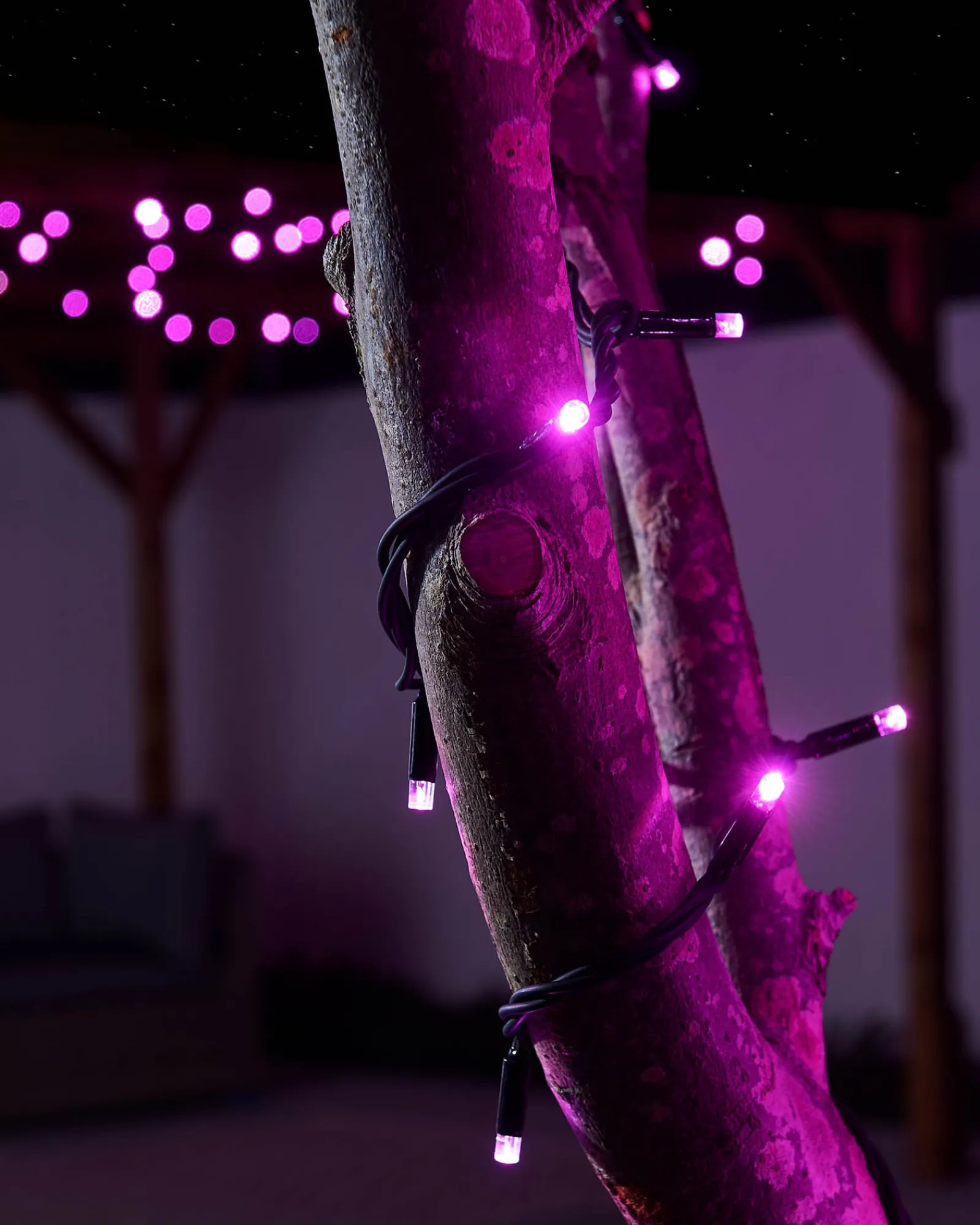 WeRChristmas LINK PRO LED String Lights, Black Cable, Pink