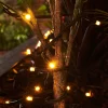 WeRChristmas LINK PRO LED String Lights, Black Cable, Warm White