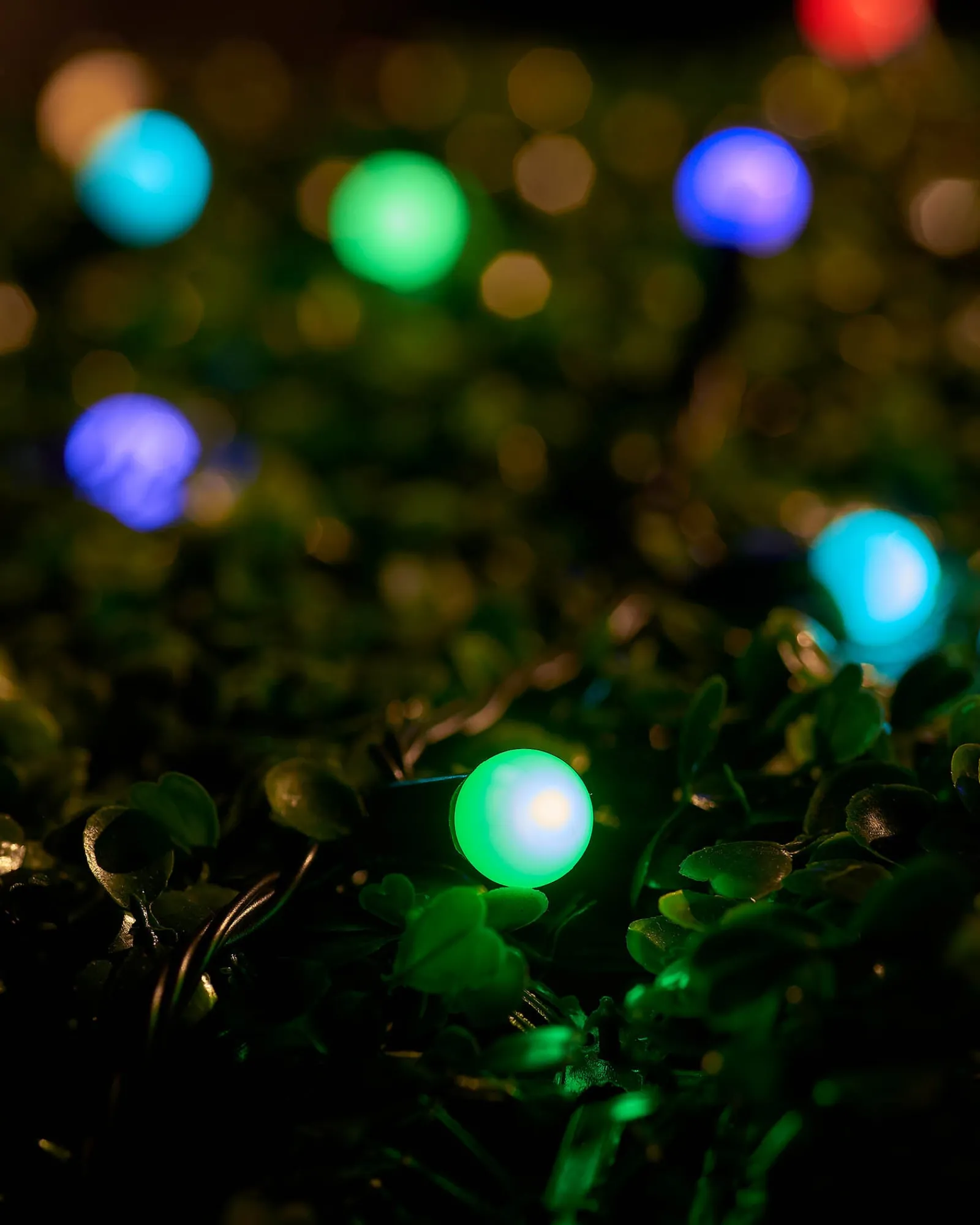 WeRChristmas LINK UP LED Berry Lights, Black Cable, Pastel Multi Colour