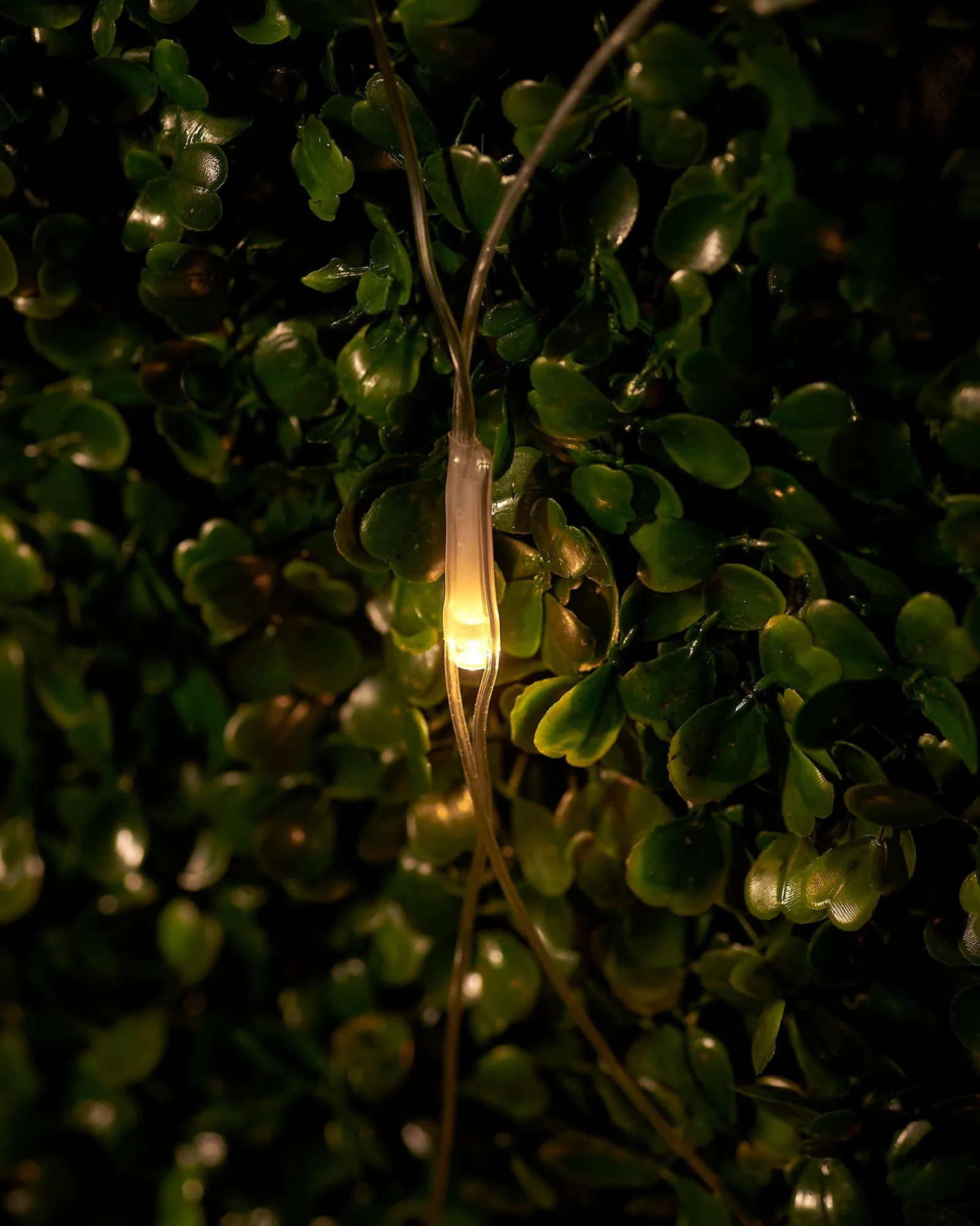 WeRChristmas LINK UP LED Net Lights, 3 M X 3 M, Warm White