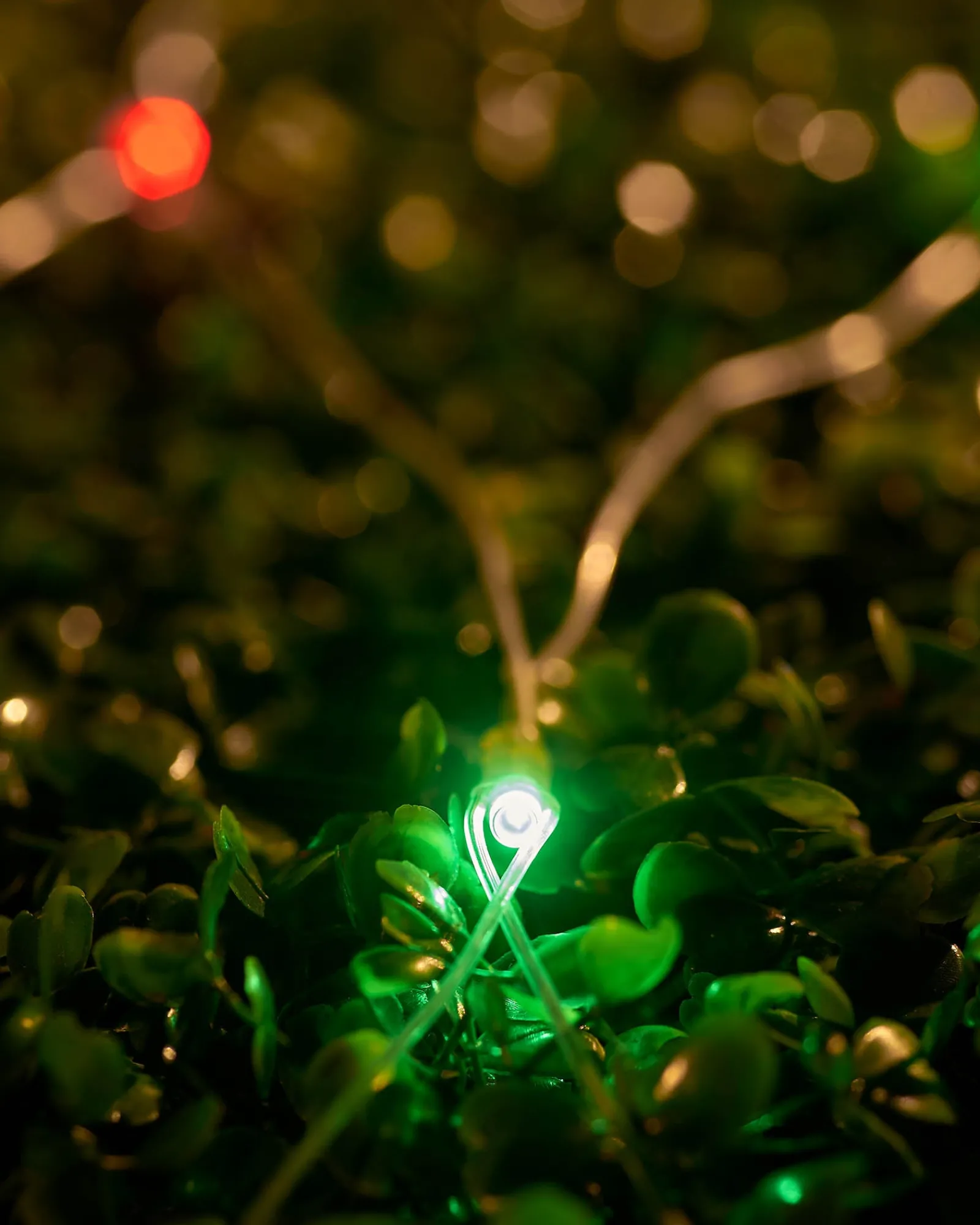 WeRChristmas LINK UP LED Net Lights, 3 M X 3 M, Multi Colour