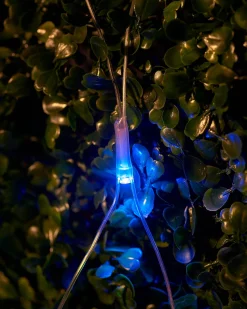 WeRChristmas LINK UP LED Net Lights, 3 M X 3 M, Multi Colour