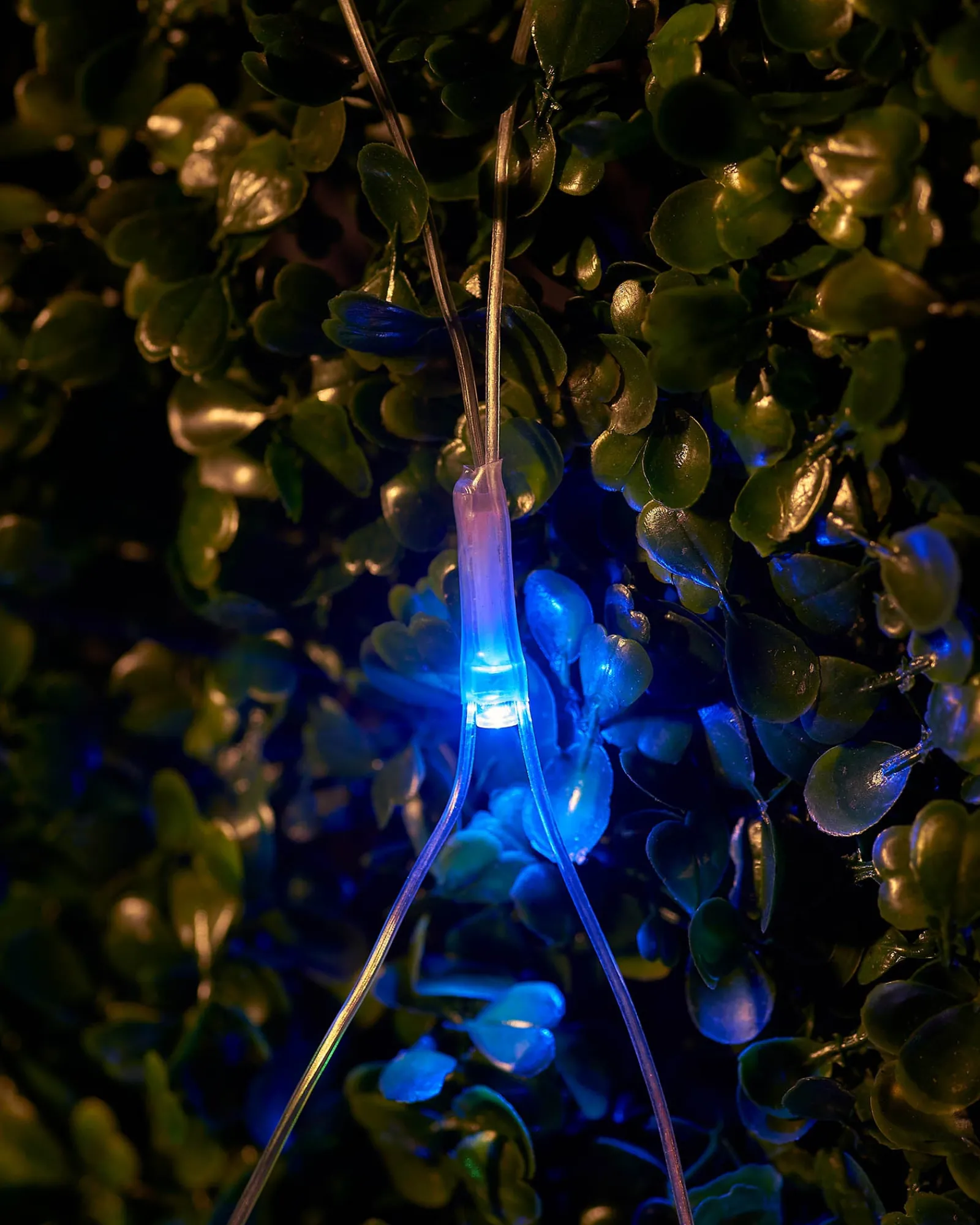 WeRChristmas LINK UP LED Net Lights, 3 M X 3 M, Multi Colour