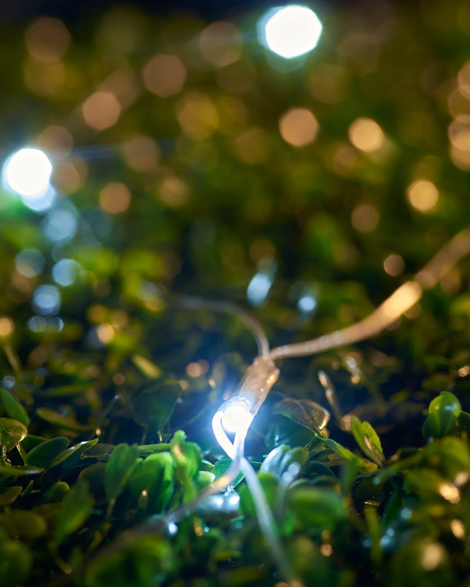 WeRChristmas LINK UP LED Net Lights, 2 M X 2 M, White