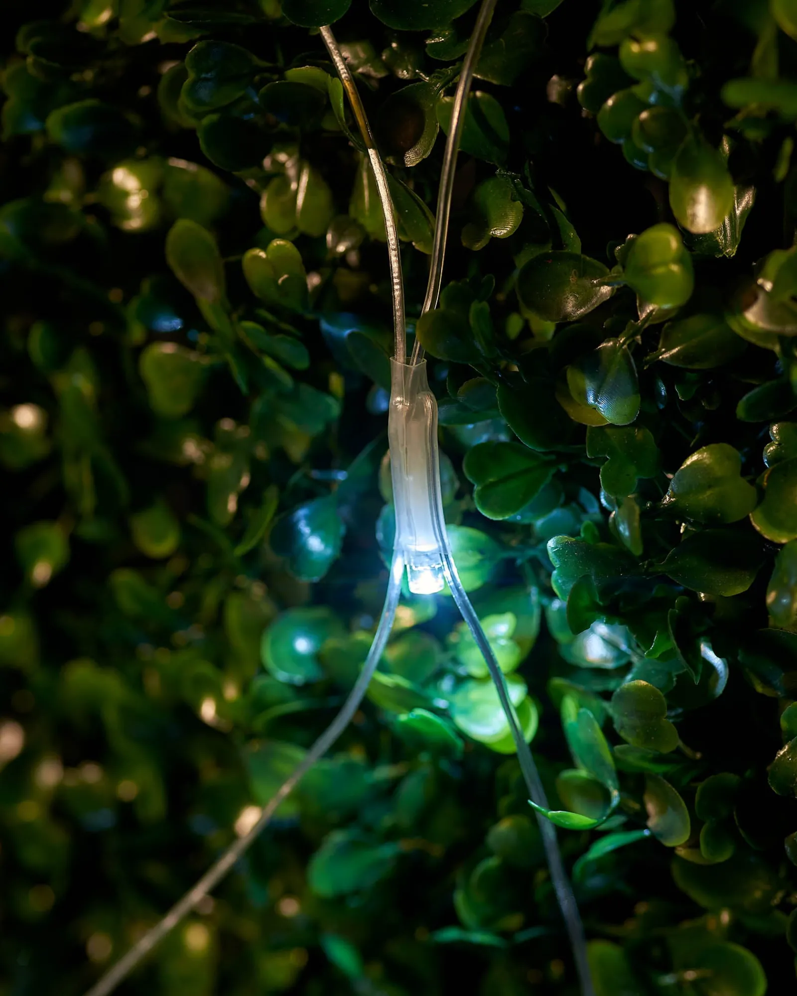 WeRChristmas LINK UP LED Net Lights, 2 M X 2 M, White