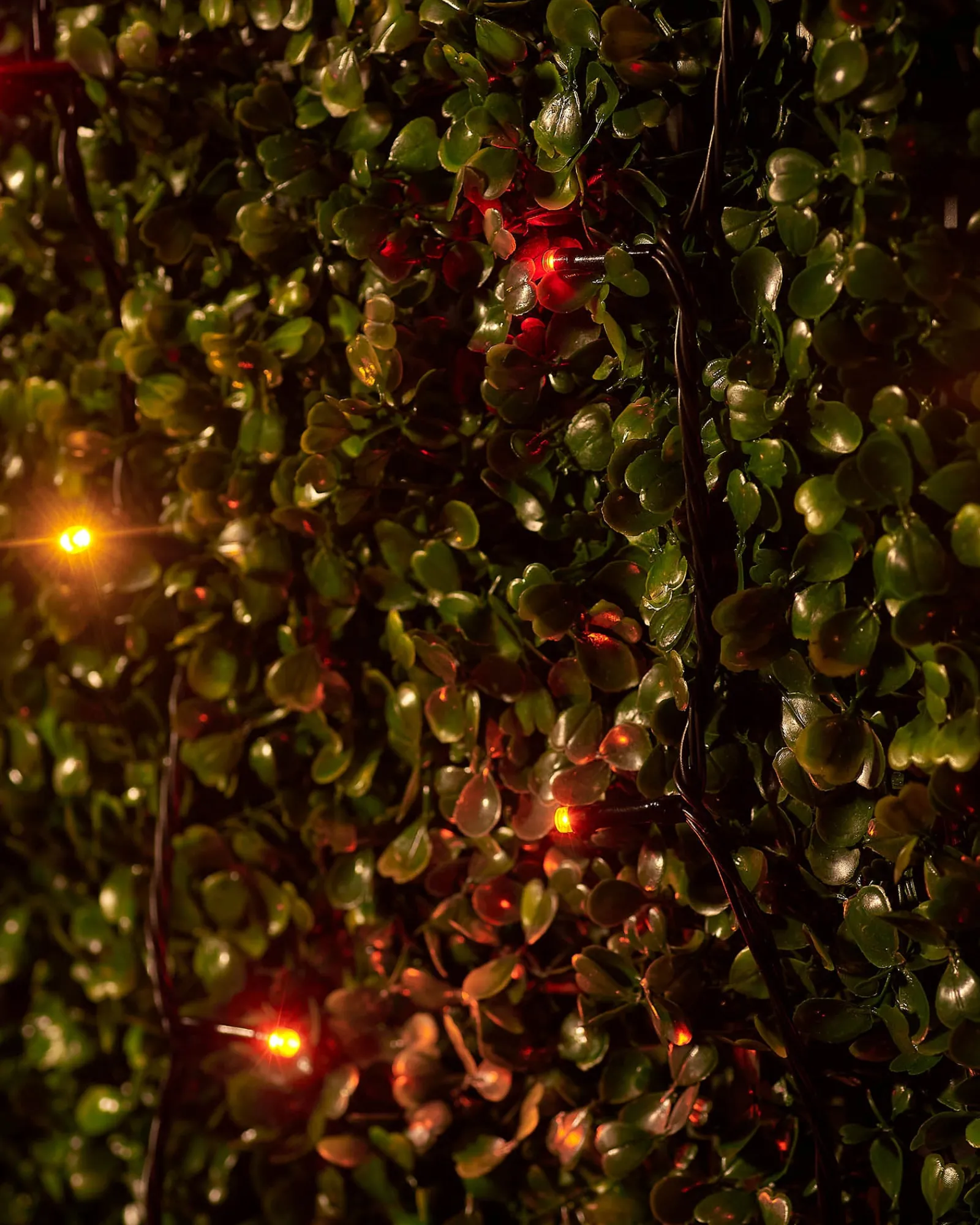 WeRChristmas LINK UP LED String Lights, Black Cable, Autumn Colour