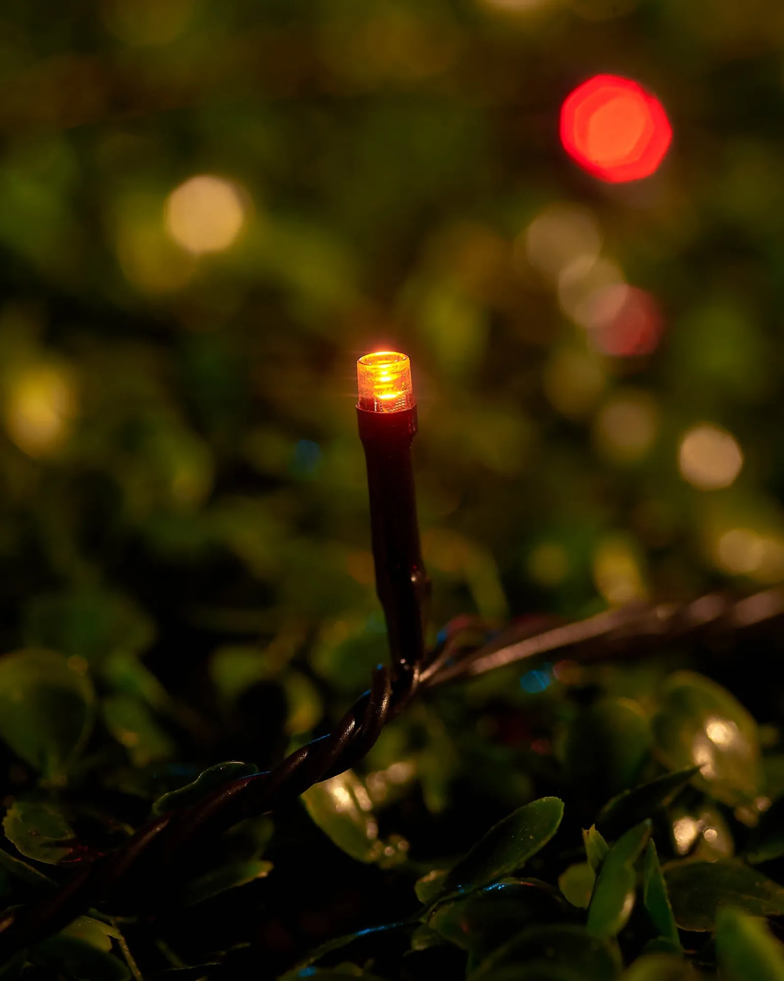 WeRChristmas LINK UP LED String Lights, Black Cable, Autumn Colour