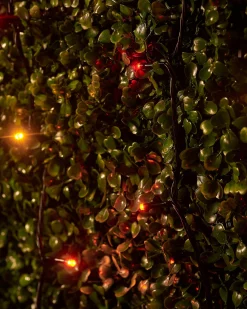 WeRChristmas LINK UP LED String Lights, Black Cable, Autumn Colour