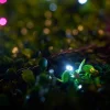 WeRChristmas LINK UP LED String Lights, Black Cable, Pink / White