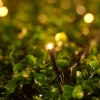 WeRChristmas LINK UP LED String Lights, Black Cable, Warm White