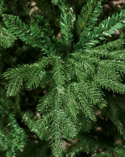WeRChristmas Northern Fir Christmas Tree, 7 Ft