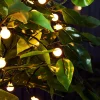 WeRChristmas Outdoor Multi-Function 100 Berry LED Light String, Warm White