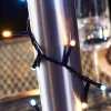 WeRChristmas Outdoor Multi-Function 480 LED Light String, Warm White & Ice White