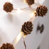 WeRChristmas Pre-Lit 20 LED Pinecone Light String Garland, 6 Ft