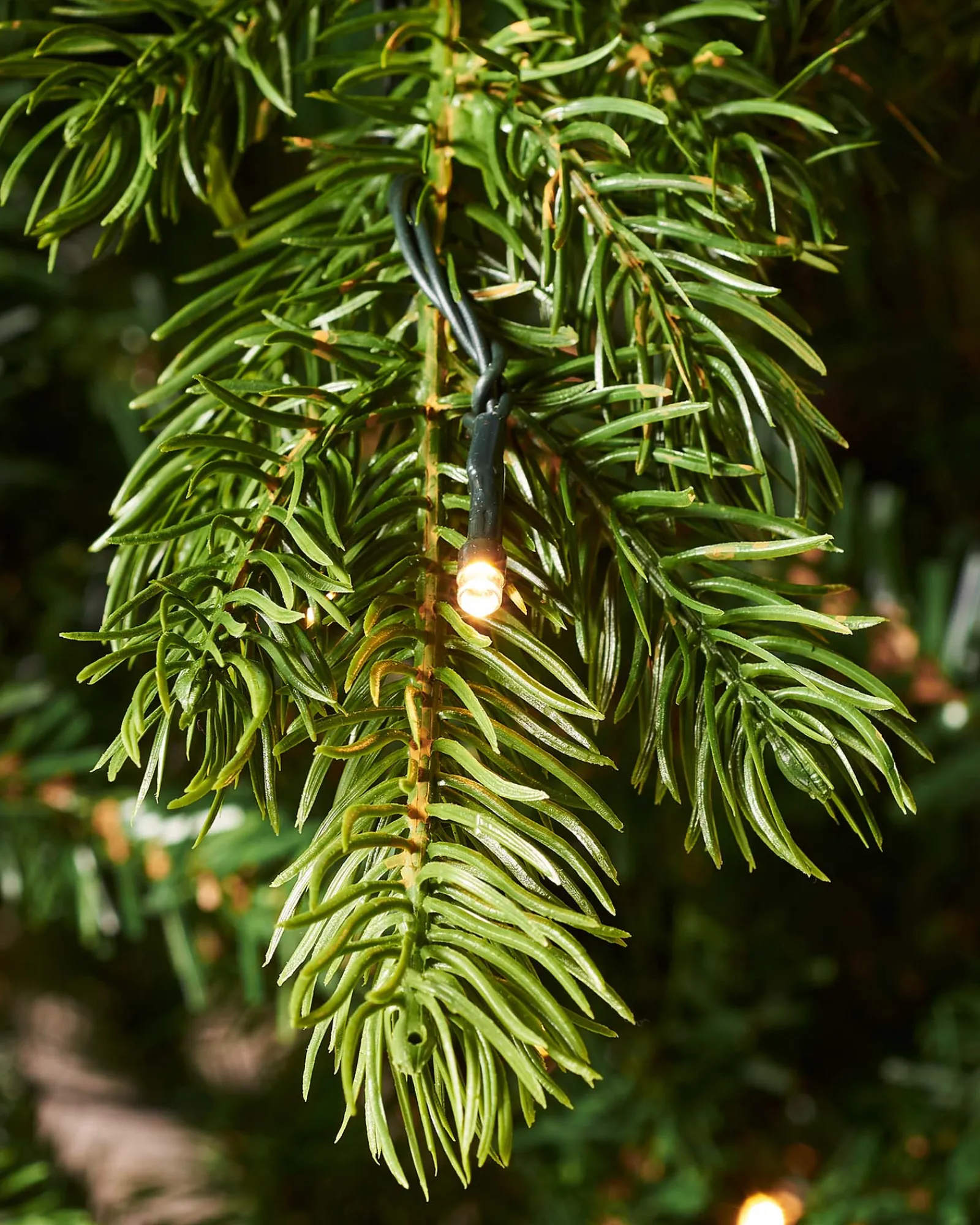 WeRChristmas Pre-Lit Balsam Fir Christmas Tree, 7 Ft