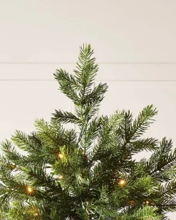 WeRChristmas Pre-Lit Balsam Fir Christmas Tree, 7 Ft