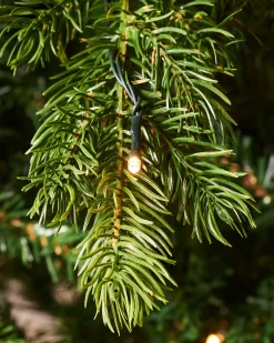 WeRChristmas Pre-Lit Balsam Fir Christmas Tree, 8 Ft