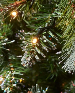 WeRChristmas Pre-lit Blue Brockton Spruce Christmas Tree, 5 Ft