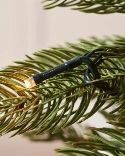 WeRChristmas Pre-Lit Craford Pine Christmas Tree, 7 Ft