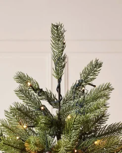 WeRChristmas Pre-Lit Craford Pine Christmas Tree, 7 Ft