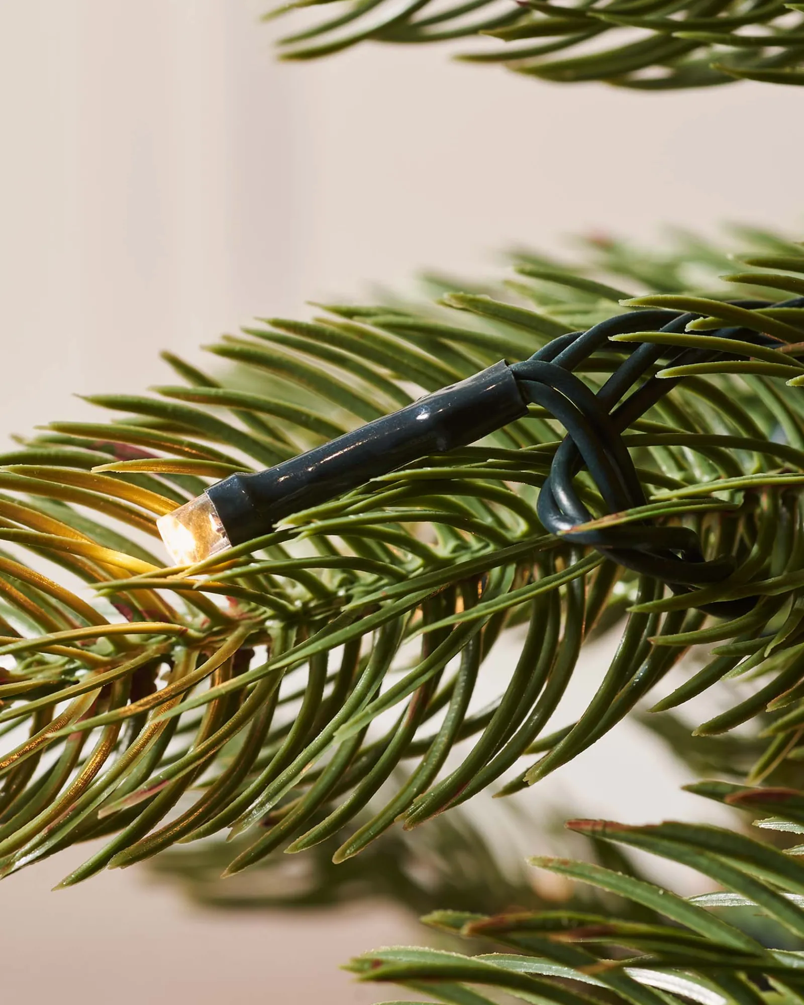 WeRChristmas Pre-Lit Craford Pine Christmas Tree, 9 Ft