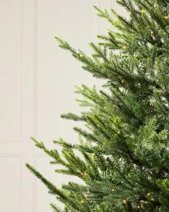 WeRChristmas Pre-Lit Douglas Fir Christmas Tree, 9 Ft