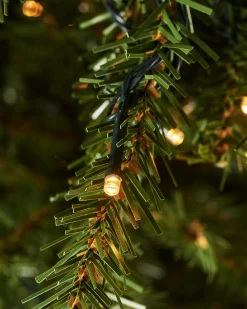 WeRChristmas Pre-Lit Foxtail Pine Christmas Tree, 6 Ft