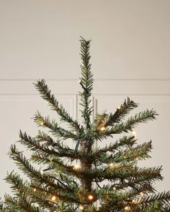 WeRChristmas Pre-Lit Foxtail Pine Christmas Tree, 6 Ft