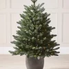 WeRChristmas Pre-Lit Frosted Potted Christmas Tree, 3.5 Ft