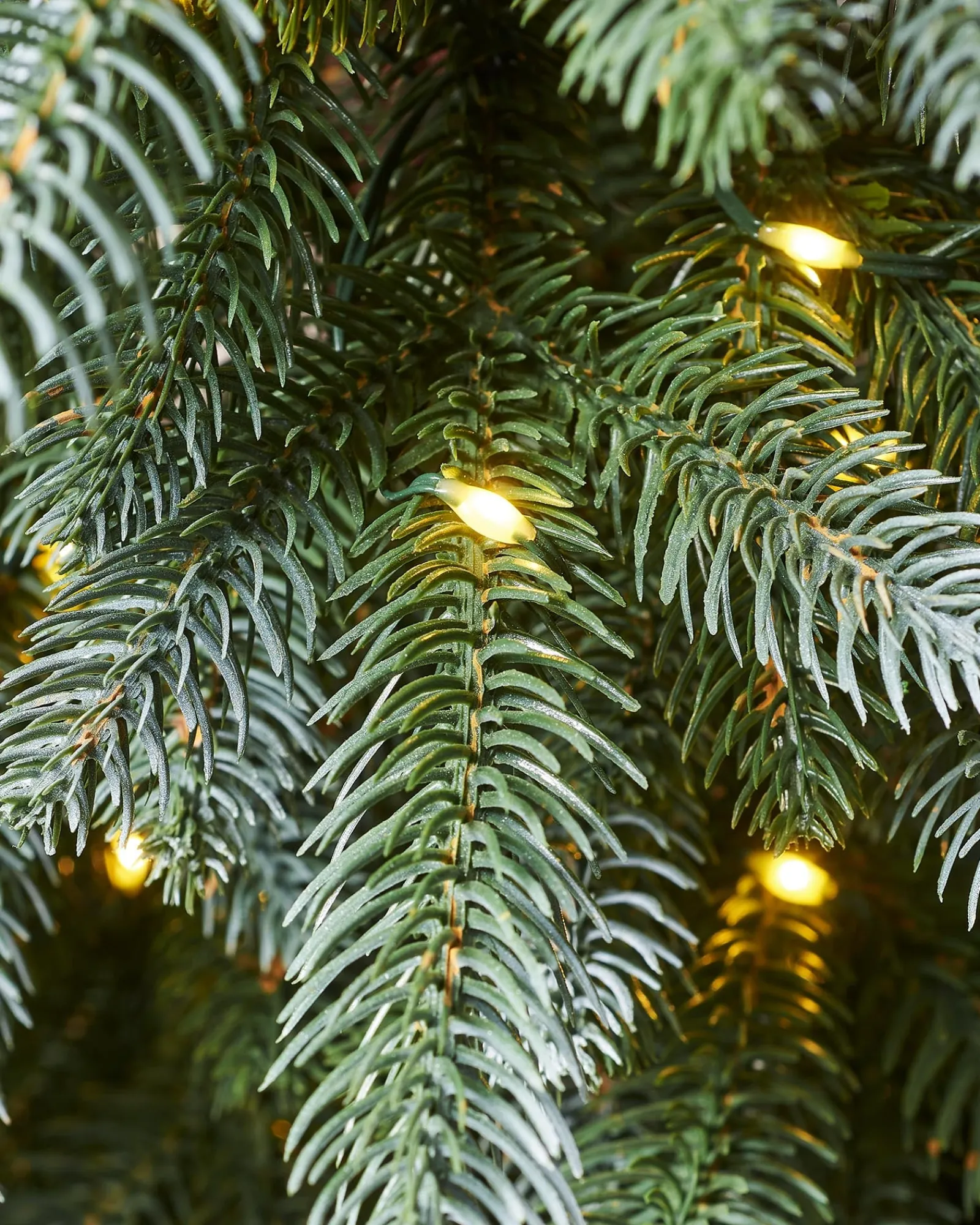 WeRChristmas Pre-Lit Frosted Potted Christmas Tree, 3.5 Ft