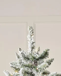WeRChristmas Pre-Lit Full Bodied Snow Flocked Christmas Tree, 5 Ft