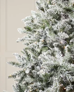 WeRChristmas Pre-Lit Full Bodied Snow Flocked Christmas Tree, 5 Ft