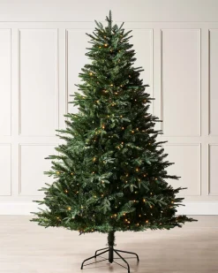 WeRChristmas Pre-lit Grand Alaskan Fir Christmas Tree, Dual Warm White, 9 Ft