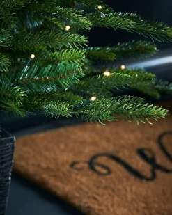 WeRChristmas Pre-Lit Grand Fir Potted Christmas Tree, 4 Ft