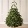 WeRChristmas Pre-Lit Grand Nordmann Fir Christmas Tree, 8 Ft