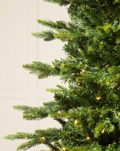 WeRChristmas Pre-Lit Himalayan Fir Christmas Tree, 7 Ft