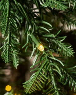 WeRChristmas Pre-Lit Mixed Pine Natural Bark Christmas Tree, 8 Ft