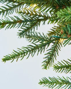 WeRChristmas Pre-Lit Multi-Function Douglas Fir Wreath, 60 Cm