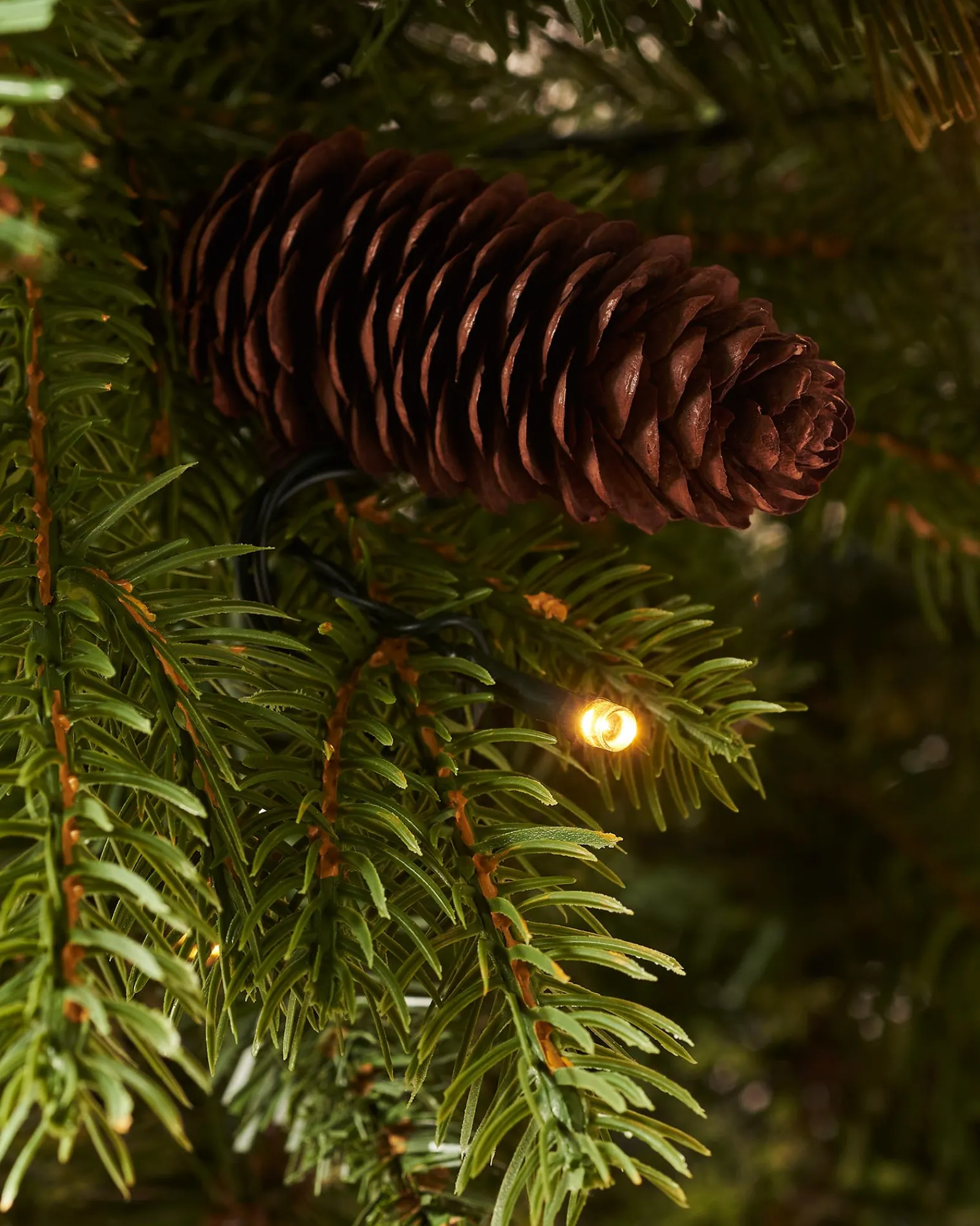 WeRChristmas Pre-Lit Natural Pine Potted Christmas Tree, 3.5 Ft