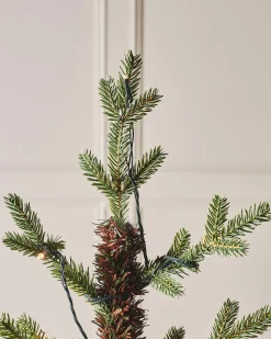 WeRChristmas Pre-Lit Norway Spruce Potted Christmas Tree, 3 Ft