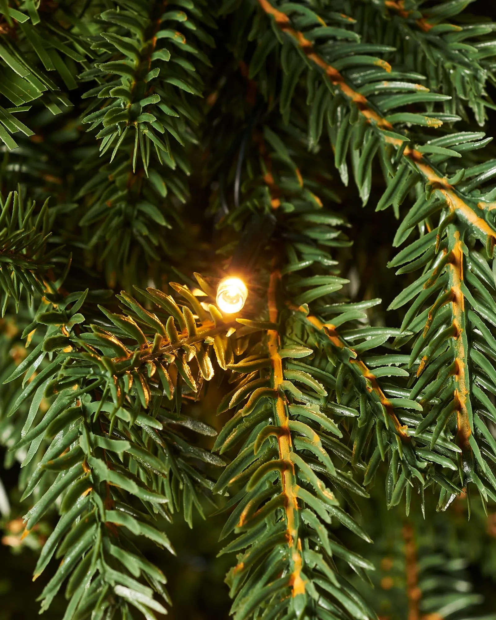 WeRChristmas Pre-Lit Norway Spruce Potted Christmas Tree, 5 Ft