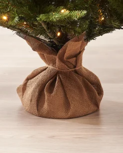 WeRChristmas Pre-Lit Norway Spruce Potted Christmas Tree, 5 Ft