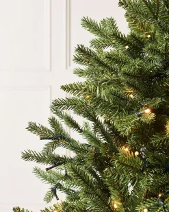 WeRChristmas Pre-Lit Norway Spruce Potted Christmas Tree, 5 Ft