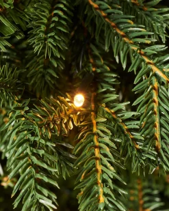 WeRChristmas Pre-Lit Norway Spruce Potted Christmas Tree, 6 Ft